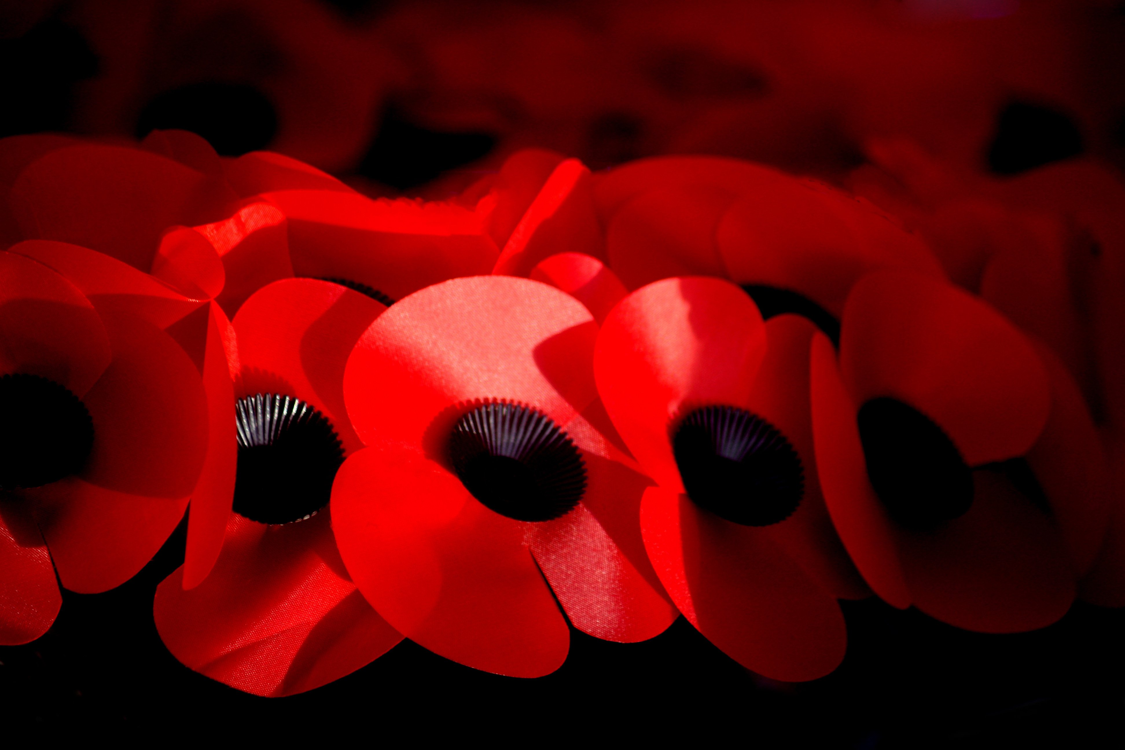 Remembrance Day